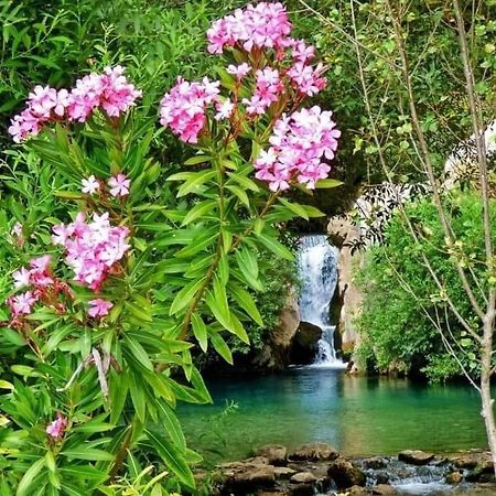 Hotel Rural Palacete De Manara Montejaque Dış mekan fotoğraf
