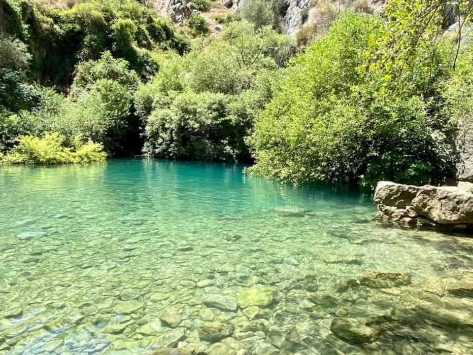 Hotel Rural Palacete De Manara Montejaque Dış mekan fotoğraf
