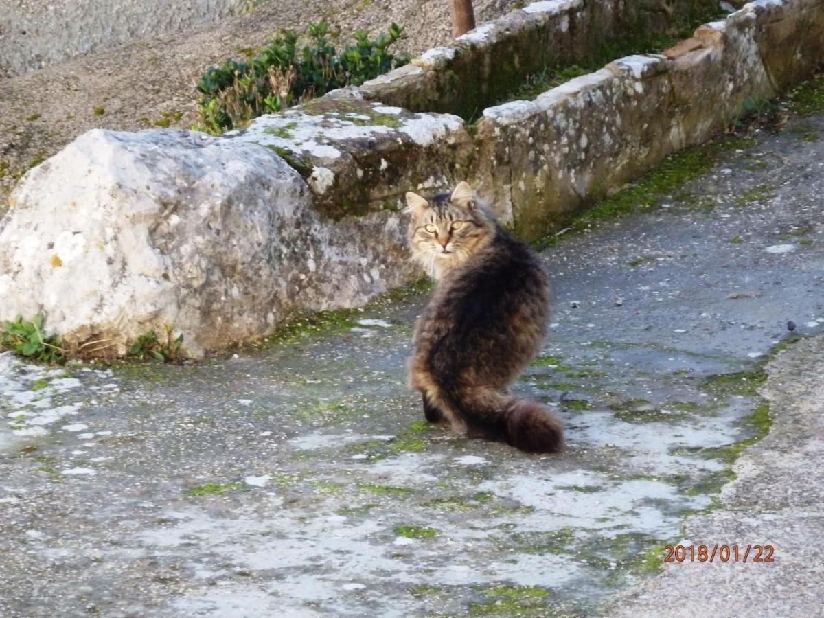 Hotel Rural Palacete De Manara Montejaque Dış mekan fotoğraf