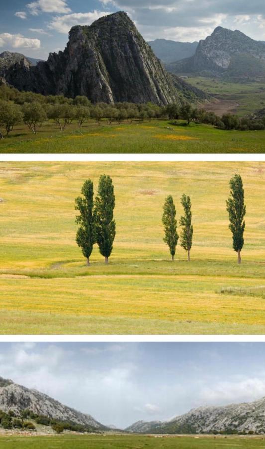 Hotel Rural Palacete De Manara Montejaque Dış mekan fotoğraf