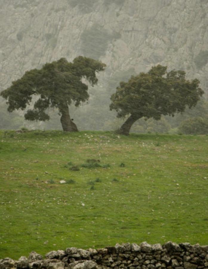 Hotel Rural Palacete De Manara Montejaque Dış mekan fotoğraf